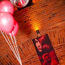 Ladie´s Night feat. Carlos + Monika Minaříková