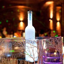 Celebrity Night Vodka Belvedere